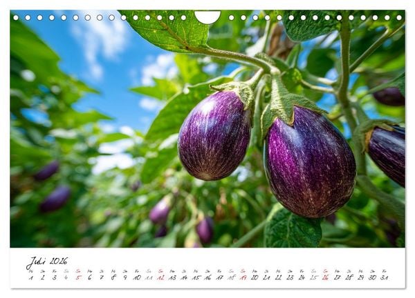 Produktbild: Gem&uuml;segarten - Gem&uuml;se aus dem eigenen Garten (Wandkalender 2026 DIN A4 quer), CALVENDO Monatskalender