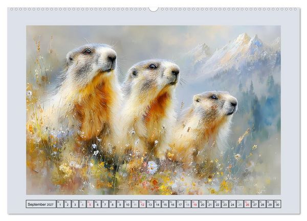 Produktbild: Murmeltiere. Kleine W&auml;chter der Berge (Wandkalender 2027 DIN A2 quer), CALVENDO Monatskalender