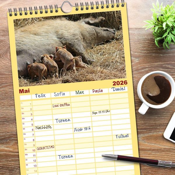 Produktbild: Familienplaner 2026 - Der Schweinekalender mit 5 Spalten (Wandkalender, 21 x 45 cm) CALVENDO