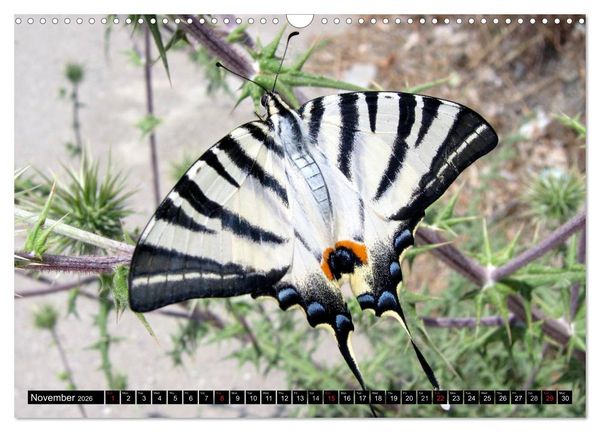 Produktbild: Rhodes - Greece (Wall Calendar 2026 DIN A3 landscape), CALVENDO 12 Month Wall Calendar