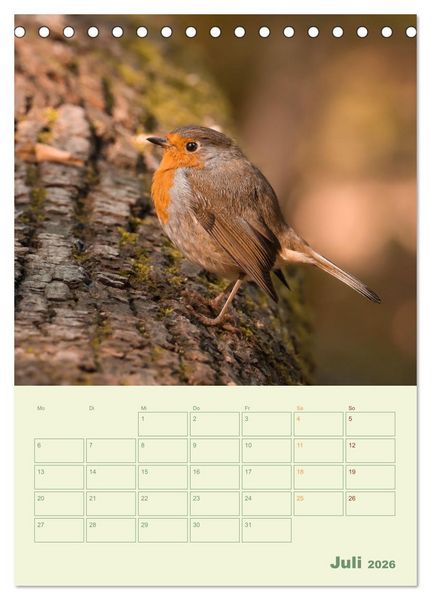 Produktbild: Waldmomente (Tischkalender 2026 DIN A5 hoch), CALVENDO Monatskalender