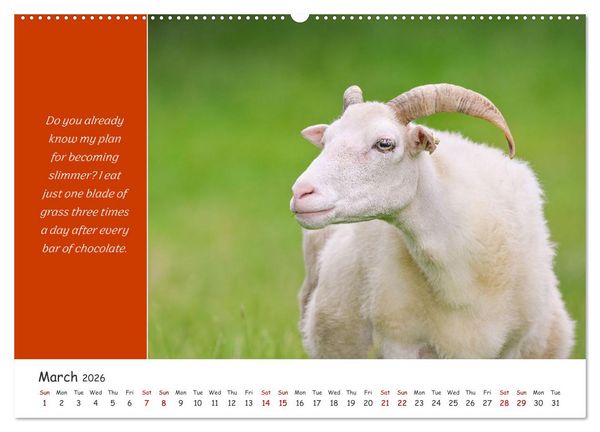 Produktbild: Animals like humour (High Quality Premium Wall Calendar 2026 DIN A2 landscape),CALVENDO 12 Month Wall Calendar