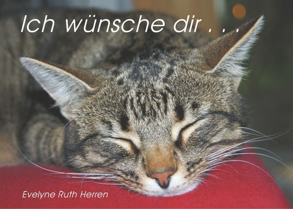 Produktbild: Ich w&uuml;nsche dir ...