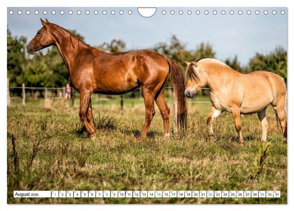 Produktbild: Durch das Jahr mit der Trakehner-Stute Fleur (Wandkalender 2026 DIN A4 quer), CALVENDO Monatskalender