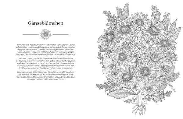 Produktbild: Geheimnisvoller Bl&uuml;tenzauber zum Ausmalen