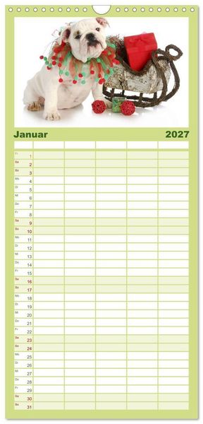 Produktbild: Familienplaner 2027 - English Bulldog XXL Models mit 5 Spalten (Wandkalender, 21 x 45 cm) CALVENDO