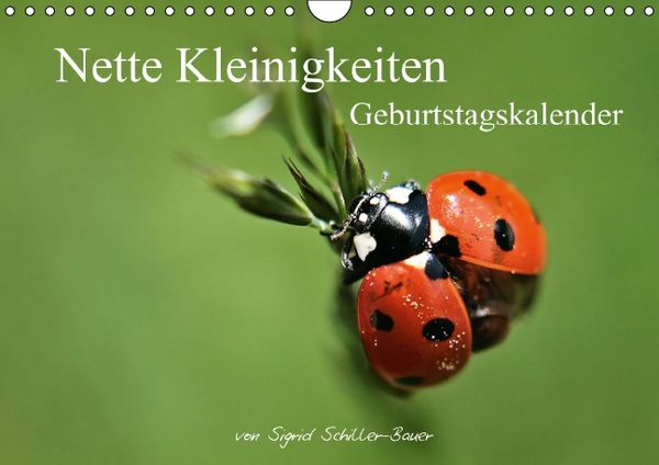 Produktbild: Geburtstagskalender "Nette Kleinigkeiten" (Wandkalender immerw&auml;hrend DIN A4 quer)