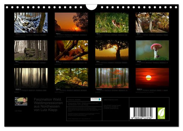 Produktbild: Faszination Wald. Waldimpressionen aus Nordhessen von Lutz Klapp (Wandkalender 2026 DIN A4 quer), CALVENDO Monatskalender