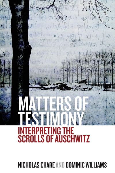 Produktbild: Matters of Testimony