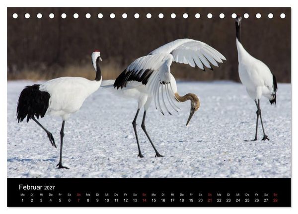 Produktbild: Mandschurenkraniche (Tischkalender 2027 DIN A5 quer), CALVENDO Monatskalender