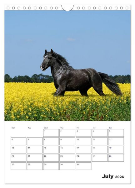 Produktbild: Shire Horses The Gentle Giants (Wall Calendar 2026 DIN A4 portrait), CALVENDO 12 Month Wall Calendar
