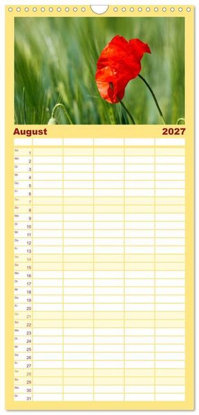 Produktbild: Familienplaner 2027 - Alles in Rot mit 5 Spalten (Wandkalender, 21 x 45 cm) CALVENDO