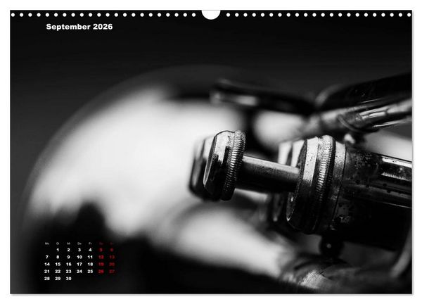 Produktbild: Trompete - Close up (Wandkalender 2026 DIN A3 quer), CALVENDO Monatskalender