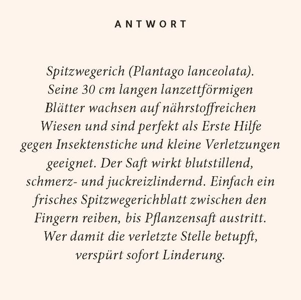 Produktbild: Kr&auml;uter-Quiz