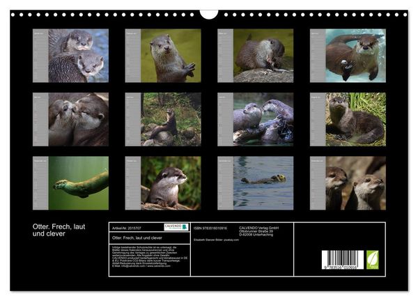 Produktbild: Otter. Frech, laut und clever (Wandkalender 2026 DIN A3 quer), CALVENDO Monatskalender