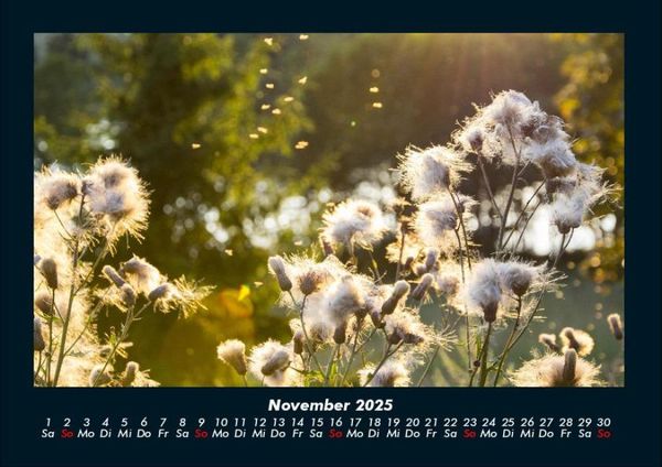 Produktbild: Bilder aus der Natur 2025 Fotokalender DIN A4