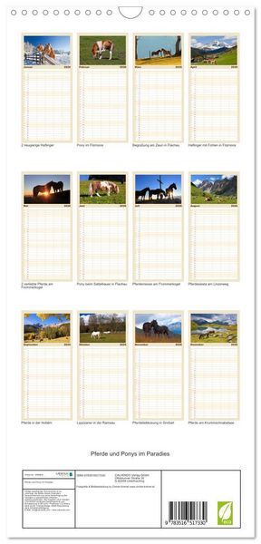 Produktbild: Familienplaner 2026 - Pferde und Ponys im Paradies mit 5 Spalten (Wandkalender, 21 x 45 cm) CALVENDO