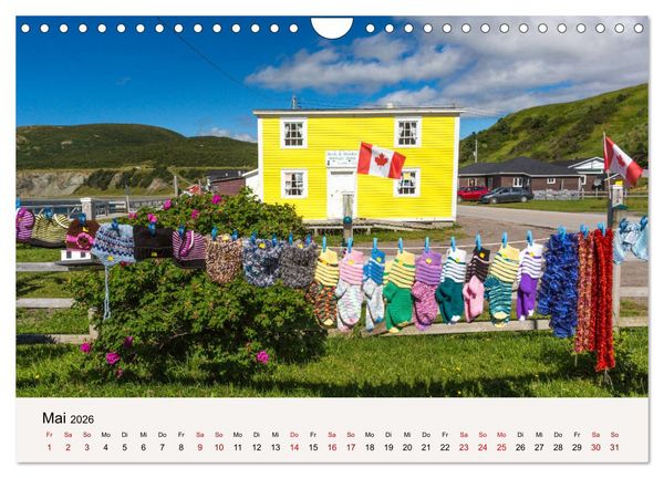 Produktbild: Neufundland Impressionen 2026 (Wandkalender 2026 DIN A4 quer), CALVENDO Monatskalender