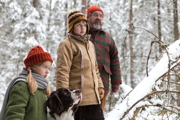 Produktbild: Weihnachten im Zaubereulenwald
