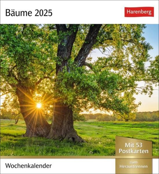 Bäume Postkartenkalender 2025 - Wochenkalender mit 53 Postkarten