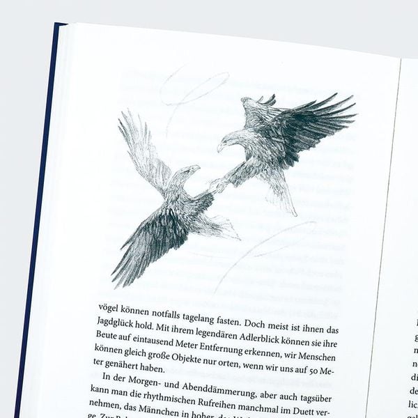 Produktbild: Das Liebesleben der V&ouml;gel