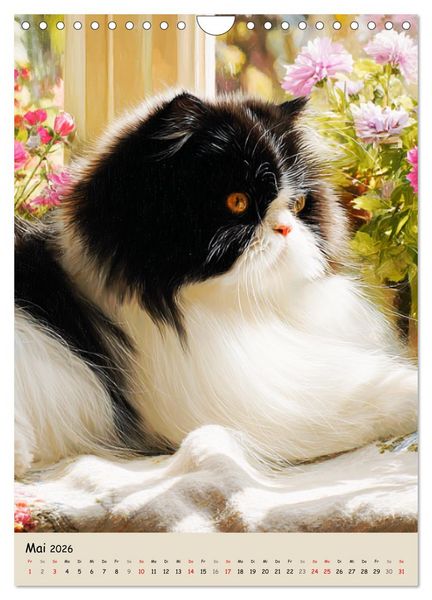 Produktbild: Perserkatzen. Zauberhafte Langhaar-Divas in Szene gesetzt (Wandkalender 2026 DIN A4 hoch), CALVENDO Monatskalender