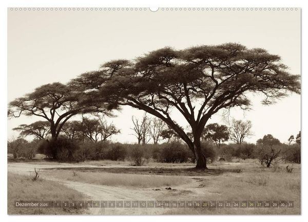 Produktbild: Botswana &ndash; Impressionen aus Afrika (hochwertiger Premium Wandkalender 2026 DIN A2 quer), Kunstdruck in Hochglanz