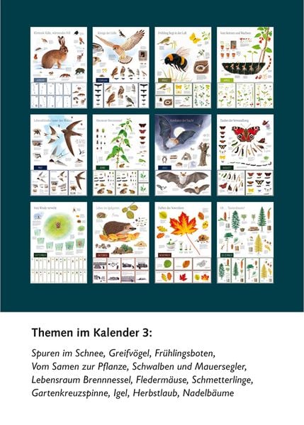 Produktbild: Natur erleben durch das Jahr - 3