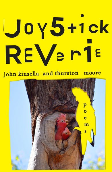 Produktbild: Joystick Reverie