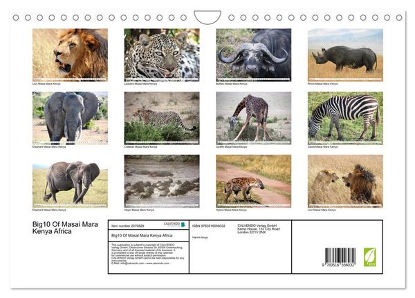 Produktbild: Big10 Of Masai Mara Kenya Africa (Wall Calendar 2026 DIN A4 landscape), CALVENDO 12 Month Wall Calendar