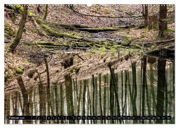 Produktbild: Arnsberger Wald (hochwertiger Premium Wandkalender 2026 DIN A2 quer), Kunstdruck in Hochglanz