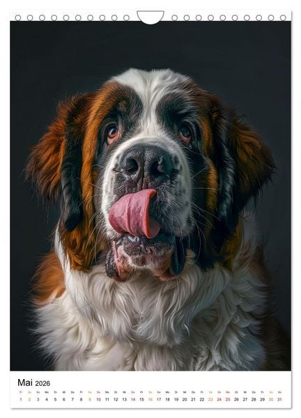 Produktbild: Bernhardiner - gutm&uuml;tig und tapfer (Wandkalender 2026 DIN A4 hoch), CALVENDO Monatskalender
