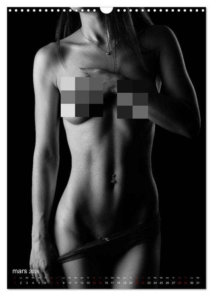 Produktbild: Apparat lumineux (Calendrier mural 2026 DIN A3 horizontal), CALVENDO calendrier mensuel