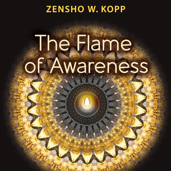 Produktbild: The Flame of Awareness