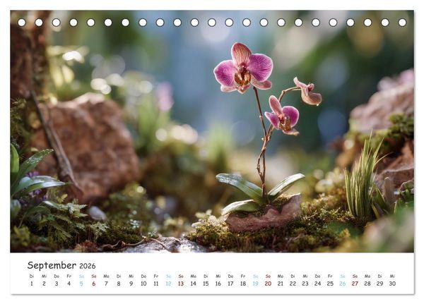 Produktbild: Im Schatten der Orchidee (Tischkalender 2026 DIN A5 quer), CALVENDO Monatskalender