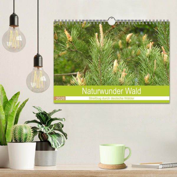 Produktbild: Naturwunder Wald (Wandkalender 2026 DIN A4 quer), CALVENDO Monatskalender