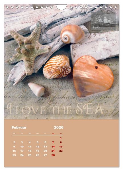 Produktbild: Geschenke vom Meer (Wandkalender 2026 DIN A4 hoch), CALVENDO Monatskalender