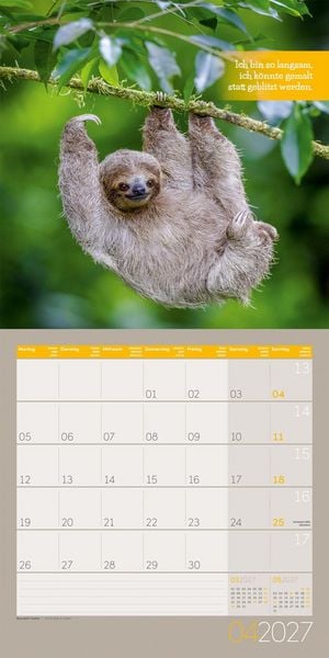 Produktbild: Keep Smiling Kalender 2027 - 30x30 - Art12