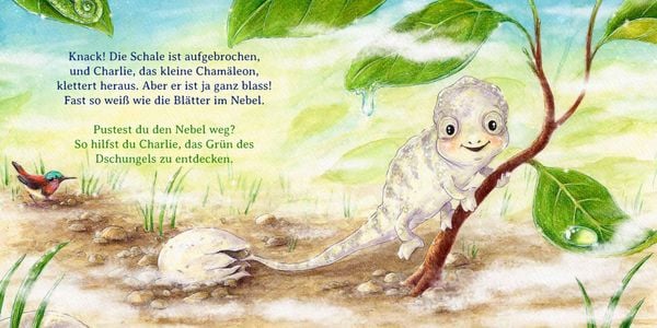 Produktbild: Schau mal, alle meine Farben