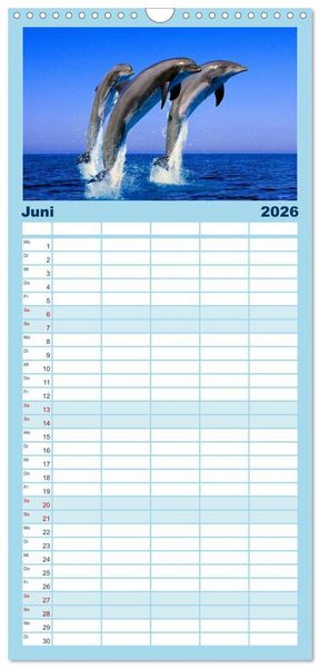 Produktbild: Familienplaner 2026 - Delfine und Wale mit 5 Spalten (Wandkalender, 21 x 45 cm) CALVENDO