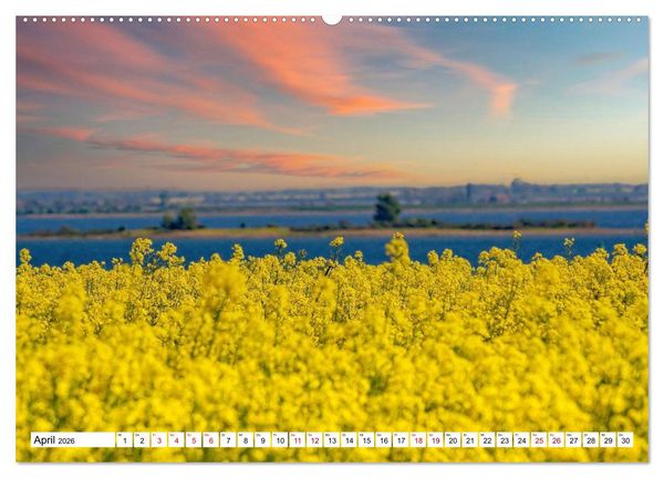Produktbild: Naturparadies Zierow - Ostsee Idylle pur in der Wismarer Bucht (hochwertiger Premium Wandkalender 2026 DIN A2 quer), Kunstdruck in Hochglanz