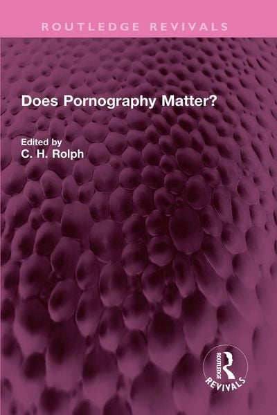 Produktbild: Does Pornography Matter?