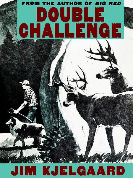 Produktbild: Double Challenge