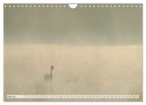 Produktbild: Oiseaux libres et sauvages (Calendrier mural 2026 DIN A4 vertical), CALVENDO calendrier mensuel