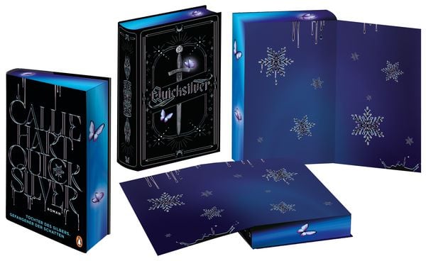 Produktbild: Quicksilver - Tochter des Silbers. Gefangener der Schatten