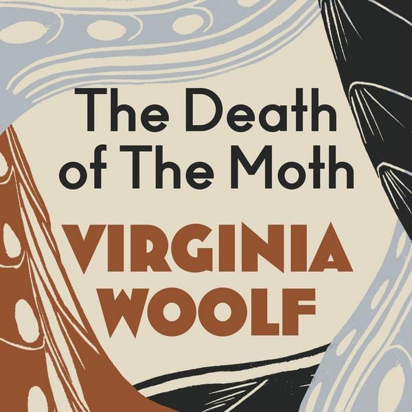 Produktbild: Death of a Moth