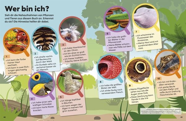 Produktbild: memo Wissen Kids. Der Regenwald