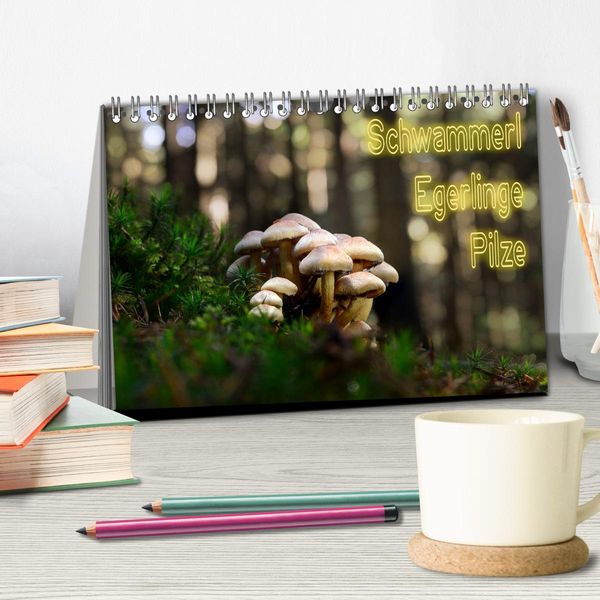 Produktbild: Schwammerl Egerlinge Pilze (Tischkalender 2026 DIN A5 quer), CALVENDO Monatskalender