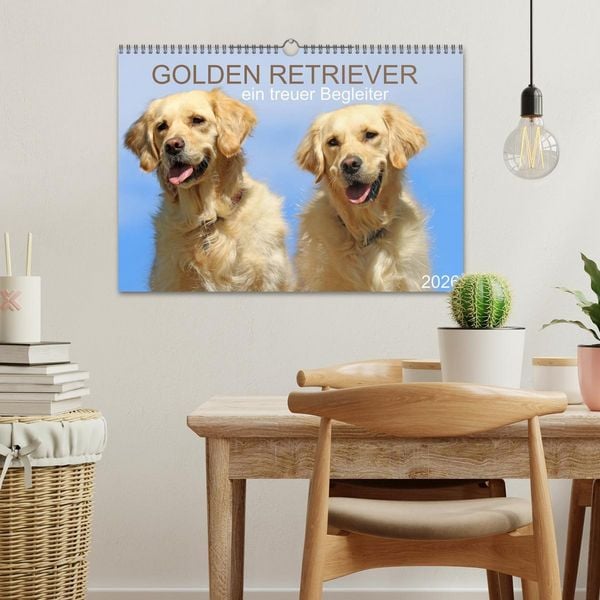 Produktbild: Golden Retriever ein treuer Begleiter (Wandkalender 2026 DIN A3 quer), CALVENDO Monatskalender