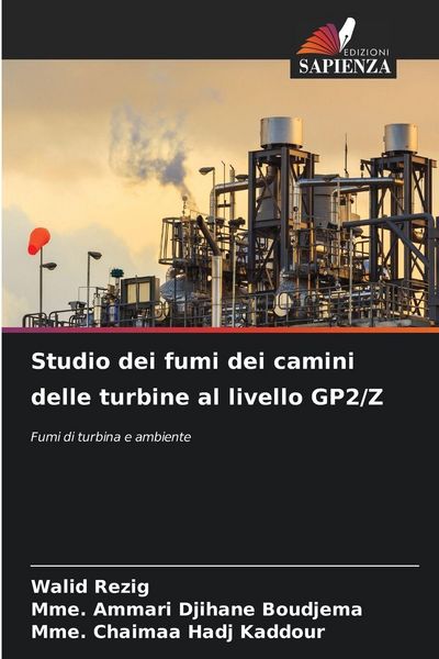 Produktbild: Studio dei fumi dei camini delle turbine al livello GP2/Z